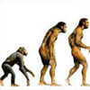 Теорія еволюції Дарвіна потрапила під суд