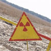 Україна продовжить спостереження за впливом радіації на біорізноманіття у Чорнобильскій зоні