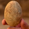 У Львові знайшли, ймовірно, найдавнішу в Україні 500-літню писанку на шкарлупі яйця