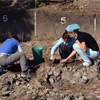 Три унікальні трипільські гончарні печі знайшли археологи на Черкащині