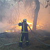 Пожежі на Луганщині. Оперативна інформація